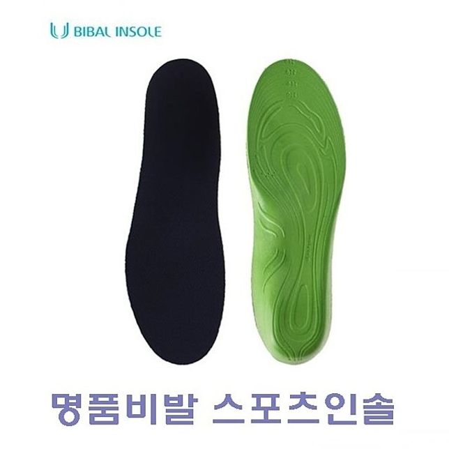 비발 스포츠인솔