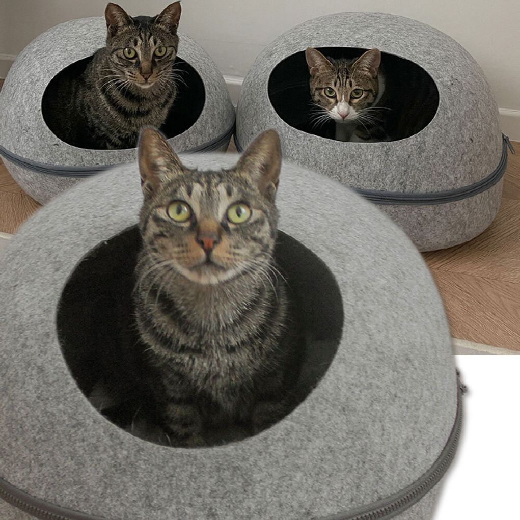 뚜또가또 고양이 꼭꼭 숨어라 숨숨집 하우스 중형