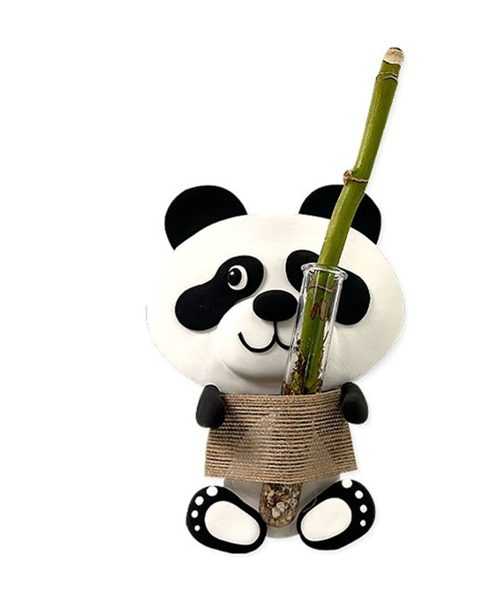 (TD) 개운죽을 품에 안은 판다곰 만들기 - 1인세트