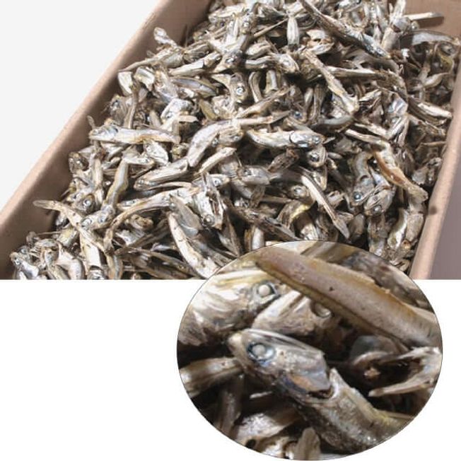 남해안산 멸치 소멸(고바) 1.5kg