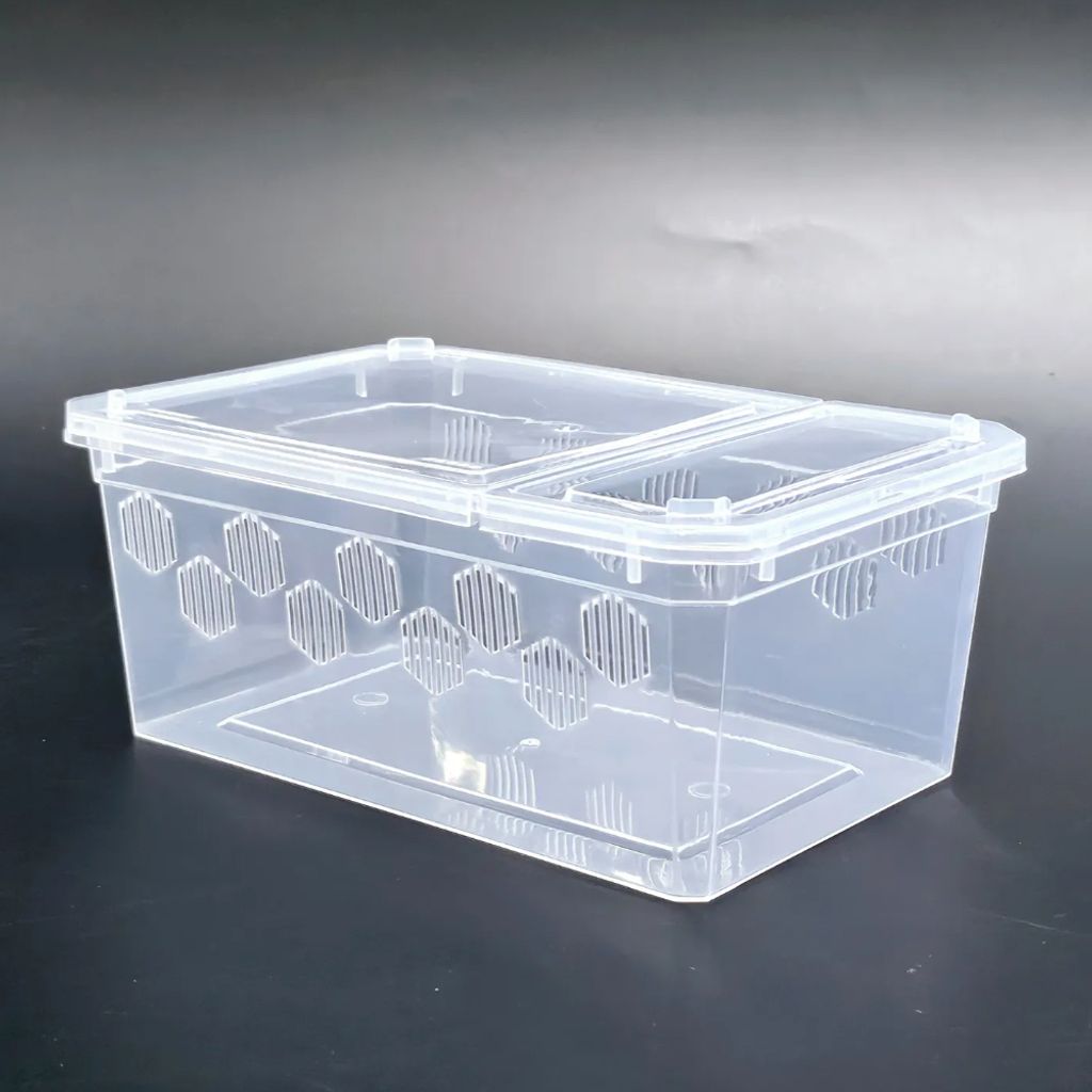 중형 파충류 크레스티드 게코 도마뱀 사육장 H9