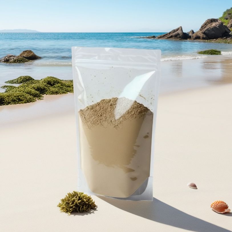 감태추출분말 100g 샘플