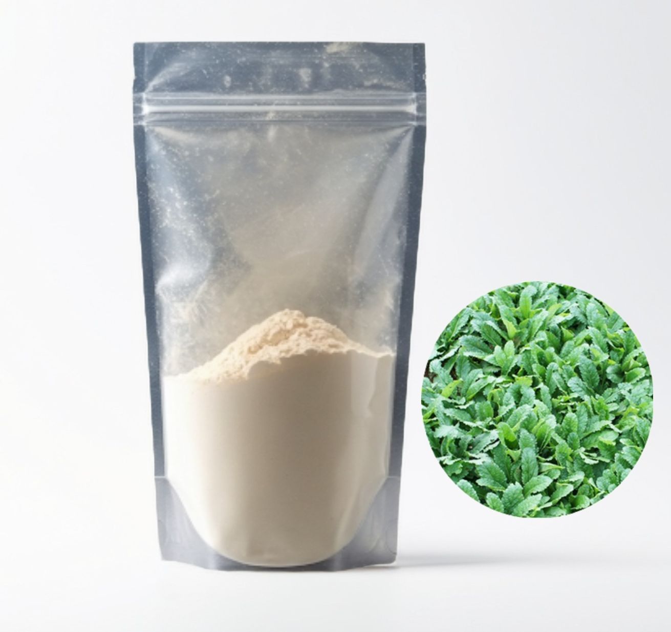 곰보배추추출분말 1kg