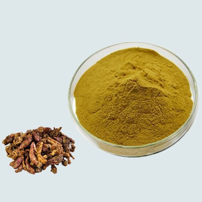 머위추출분말 100g 샘플