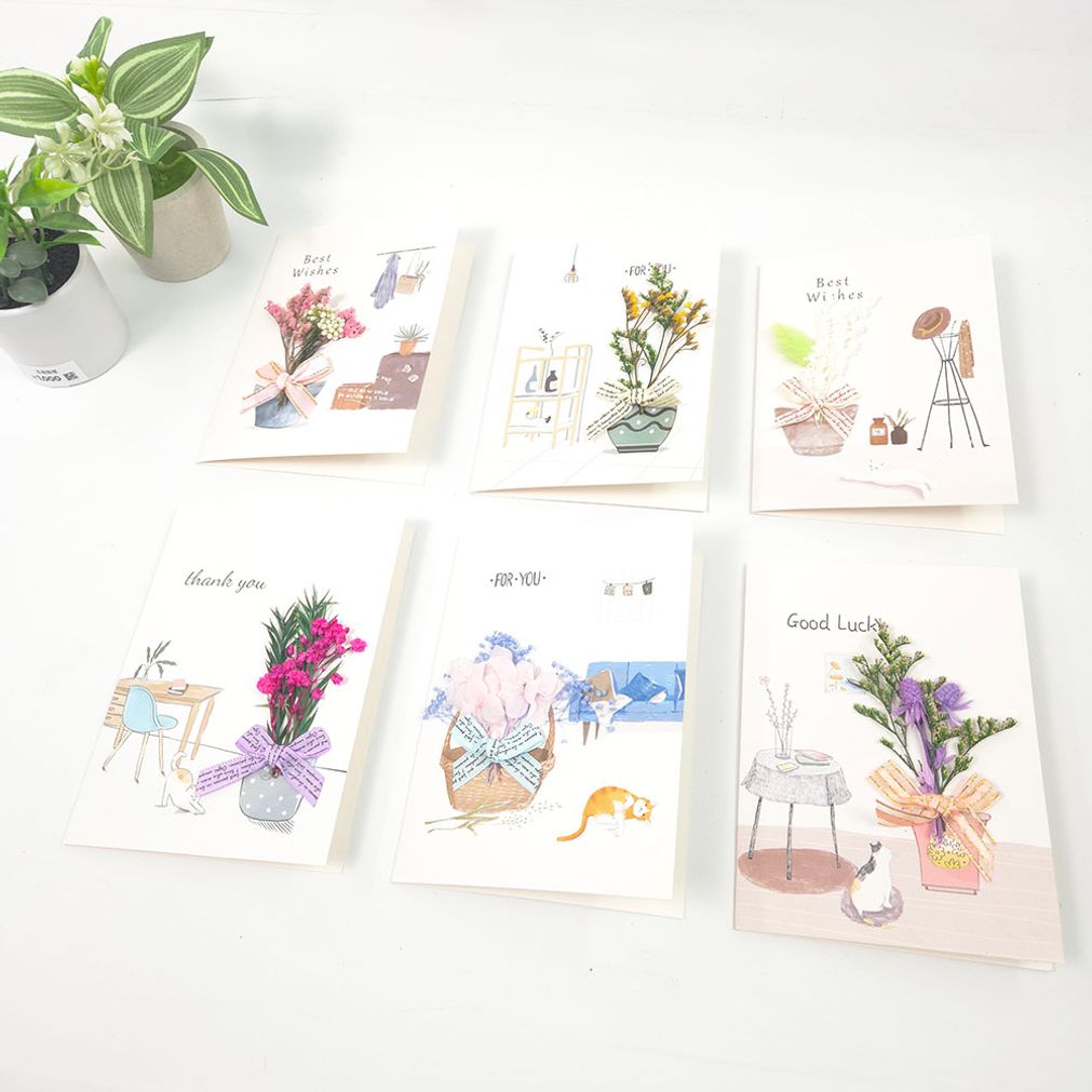감성 드라이플라워 입체 엽서 카드 화이트 6종 60장세트