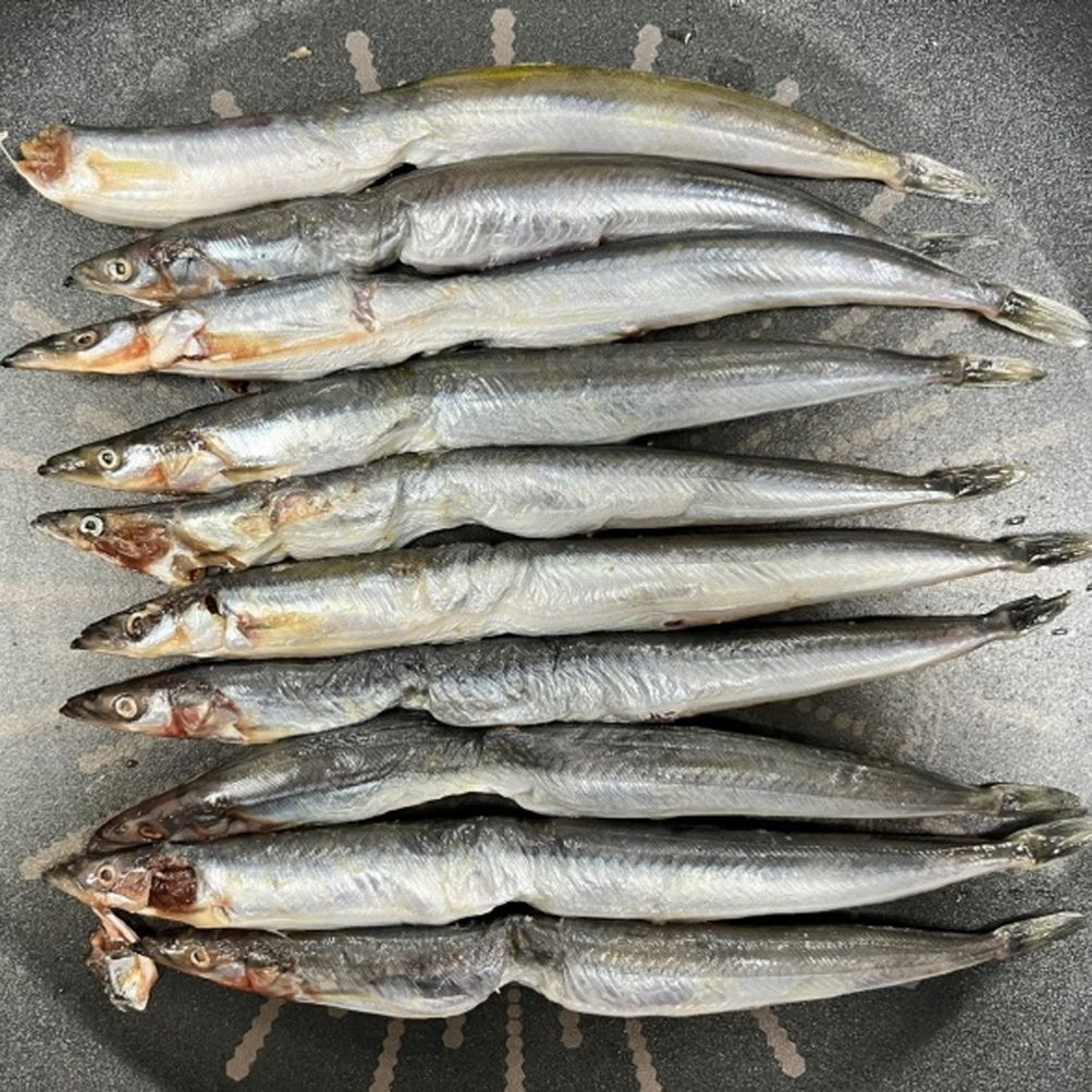 반건조 양미리 60미