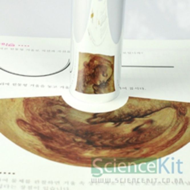 (SC) 거울의 원리(4인용)
