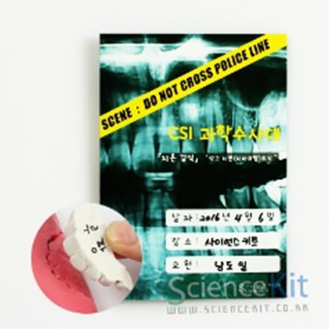 (SC) CSI 과학수사대 치흔 감식석고 치본 뜨기(4인용)