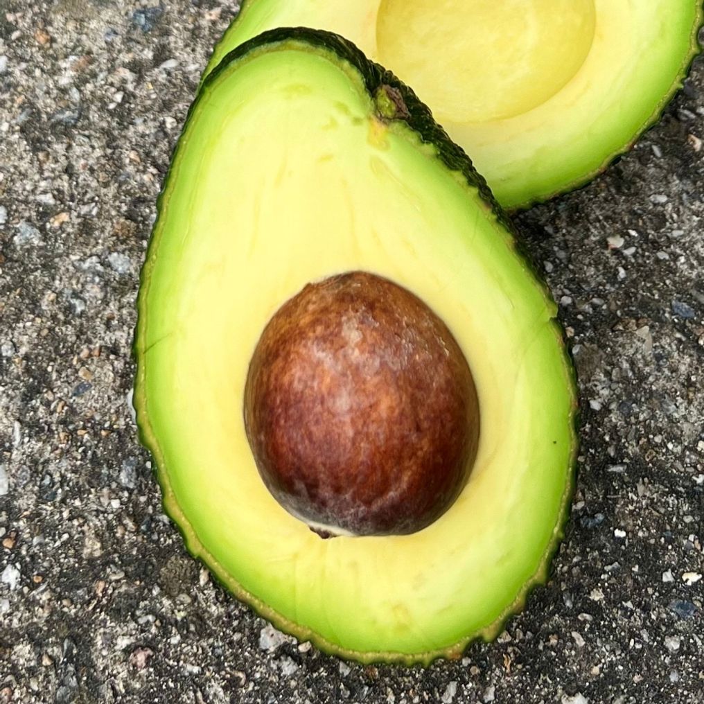 아보카도 중과 20개