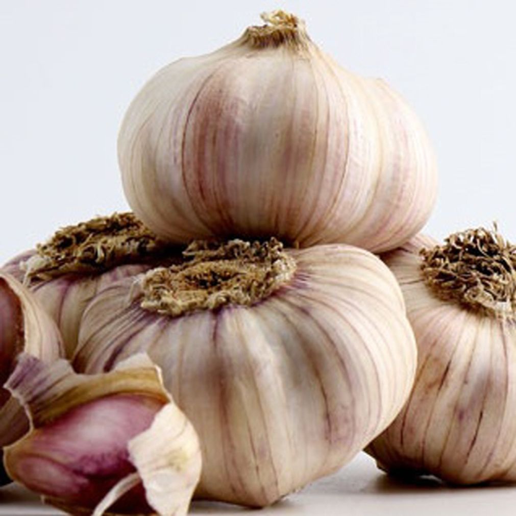 국내산 통마늘 1kg 대