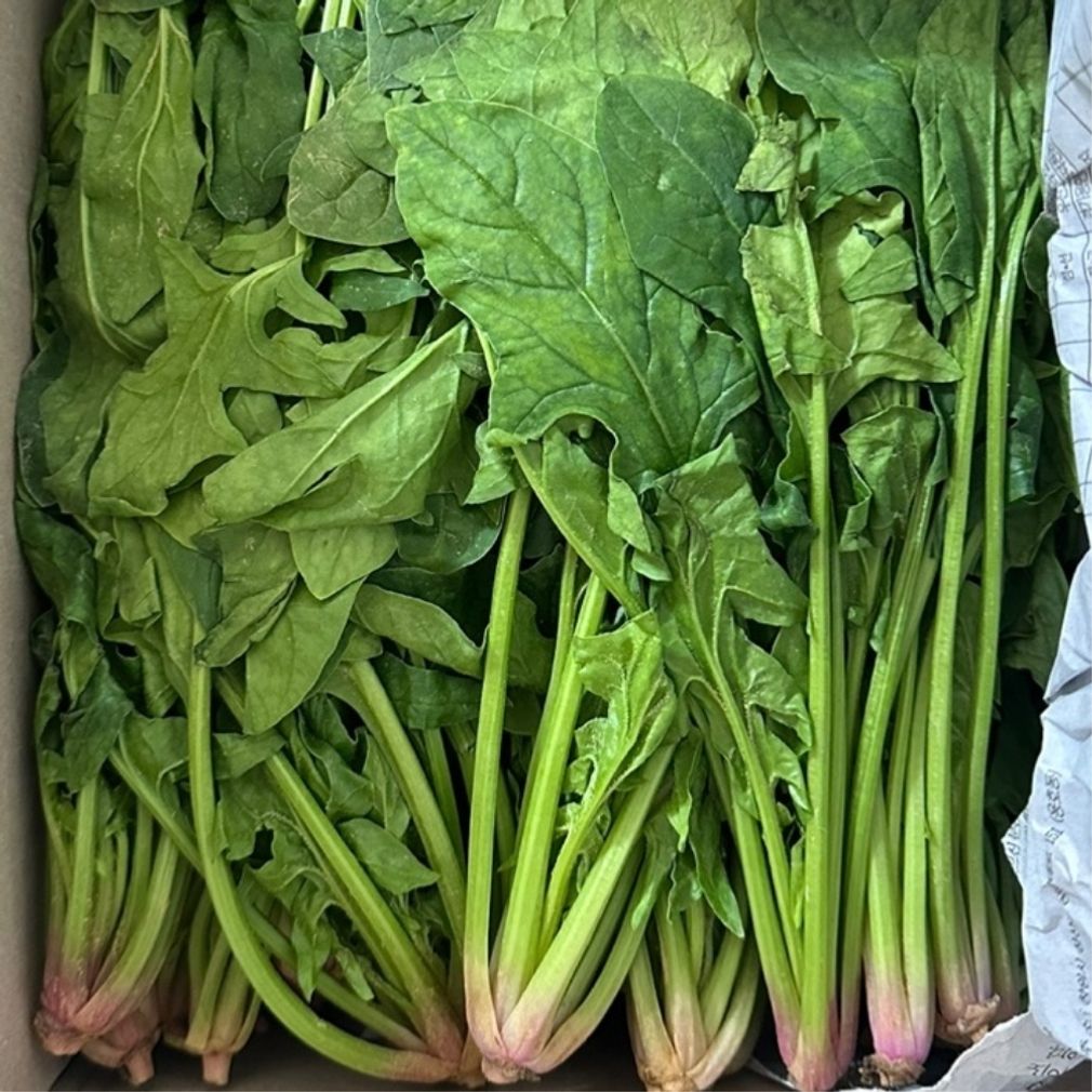 시금치 2kg