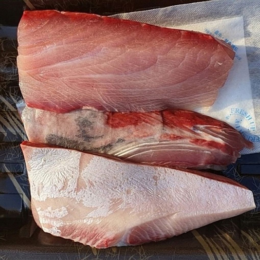 방어회 대방어 필렛 1kg