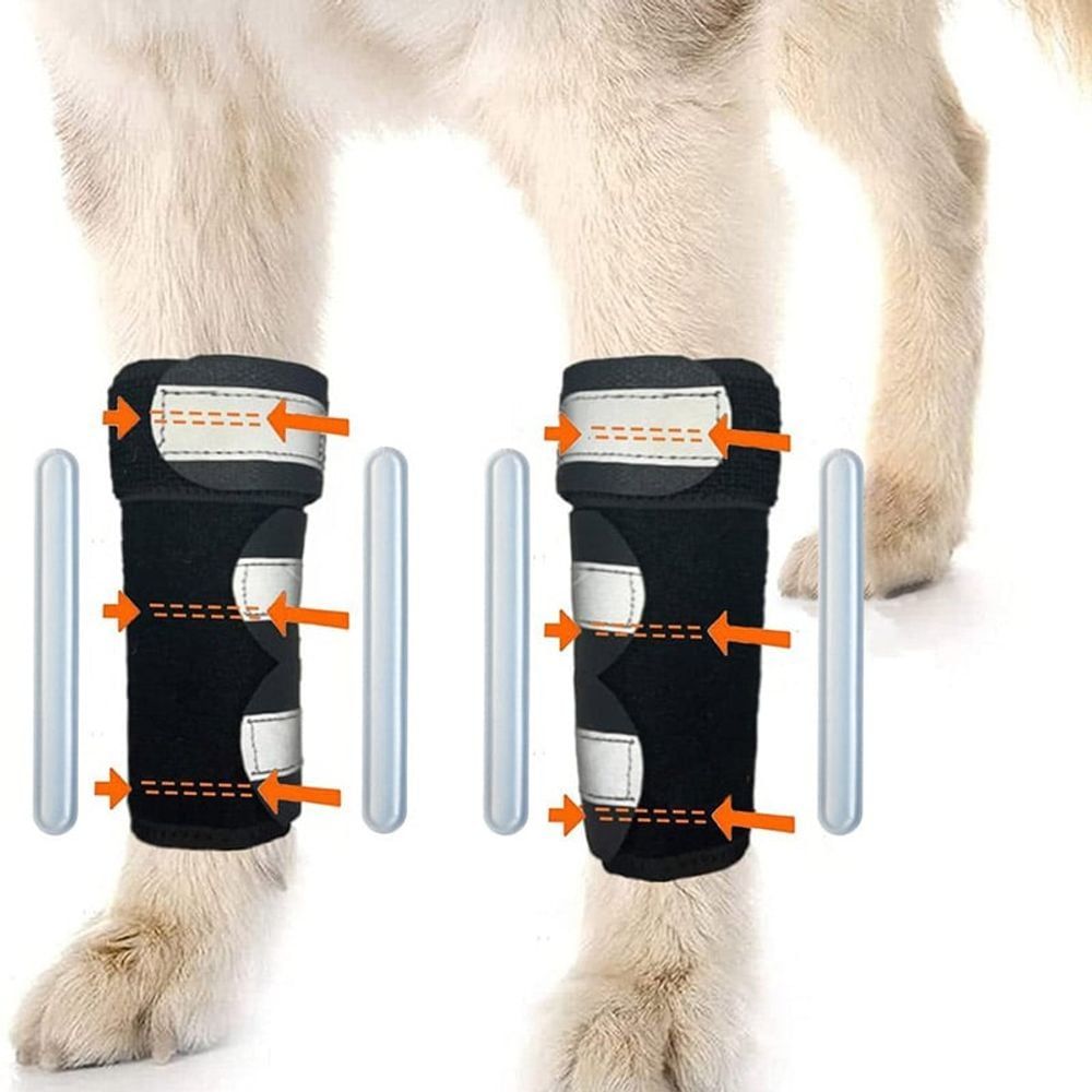강아지 앞다리 보호대 세트 애견용품 슬개골 탈골 보조기