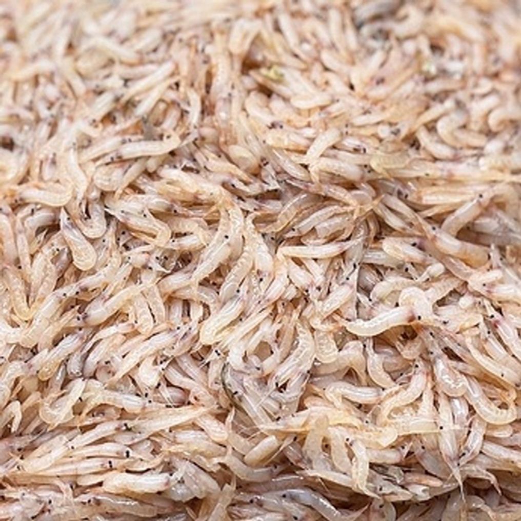 냉동 생새우 500g