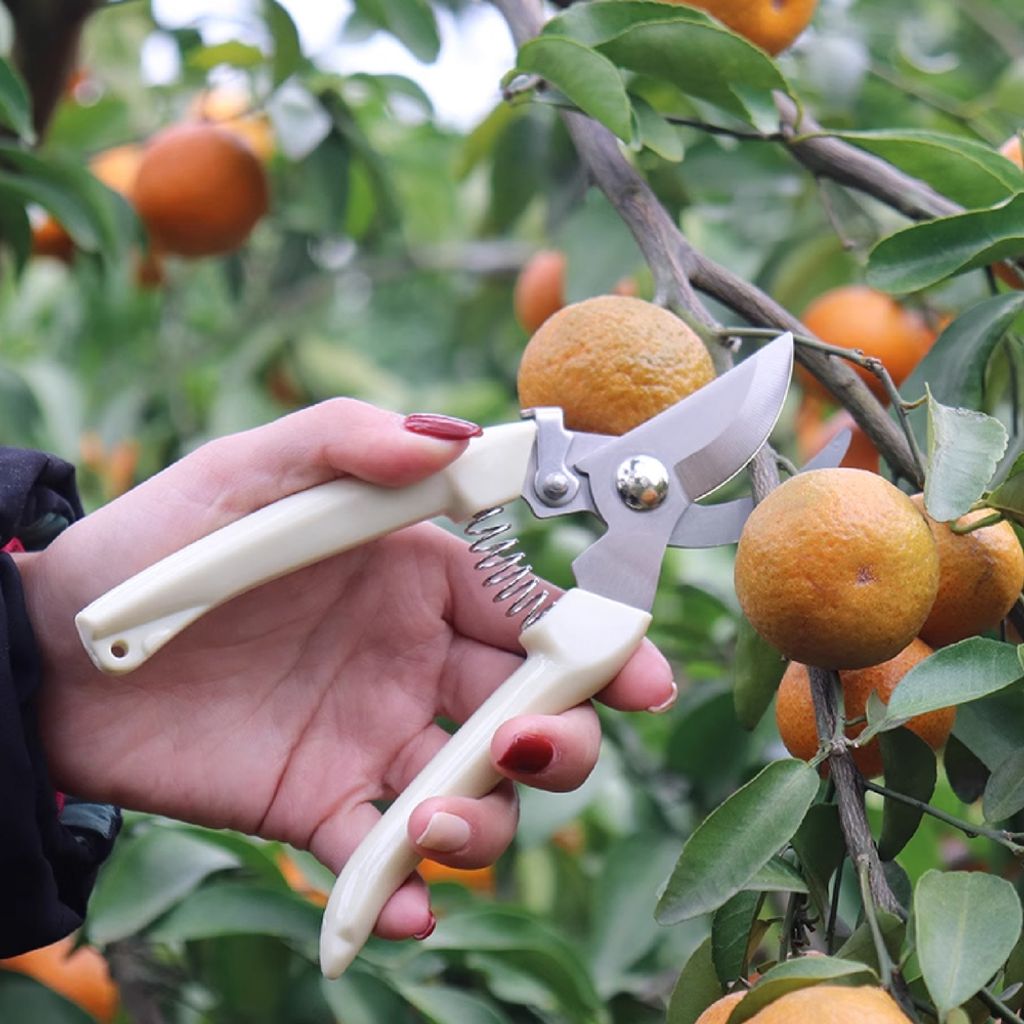 가벼운 원예 가위 정원 전지 가위 플랜트 식물 도구