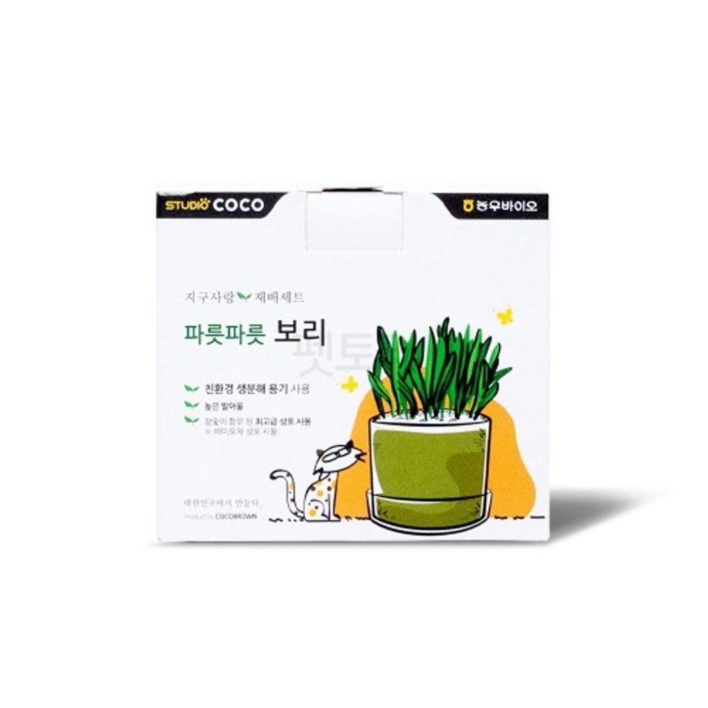 지구사랑 재배세트 파릇파릇 보리