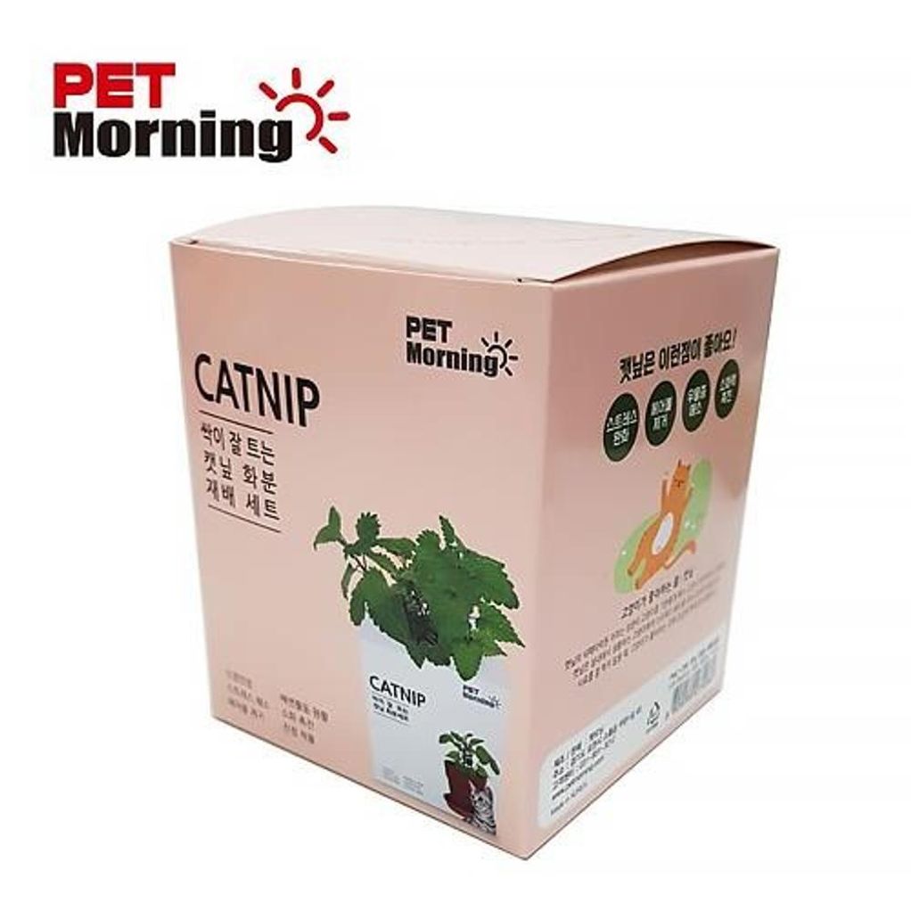 펫모닝 캣닢 화분 재배세트