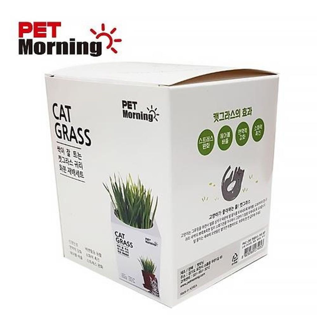 펫모닝 귀리 화분 재배세트