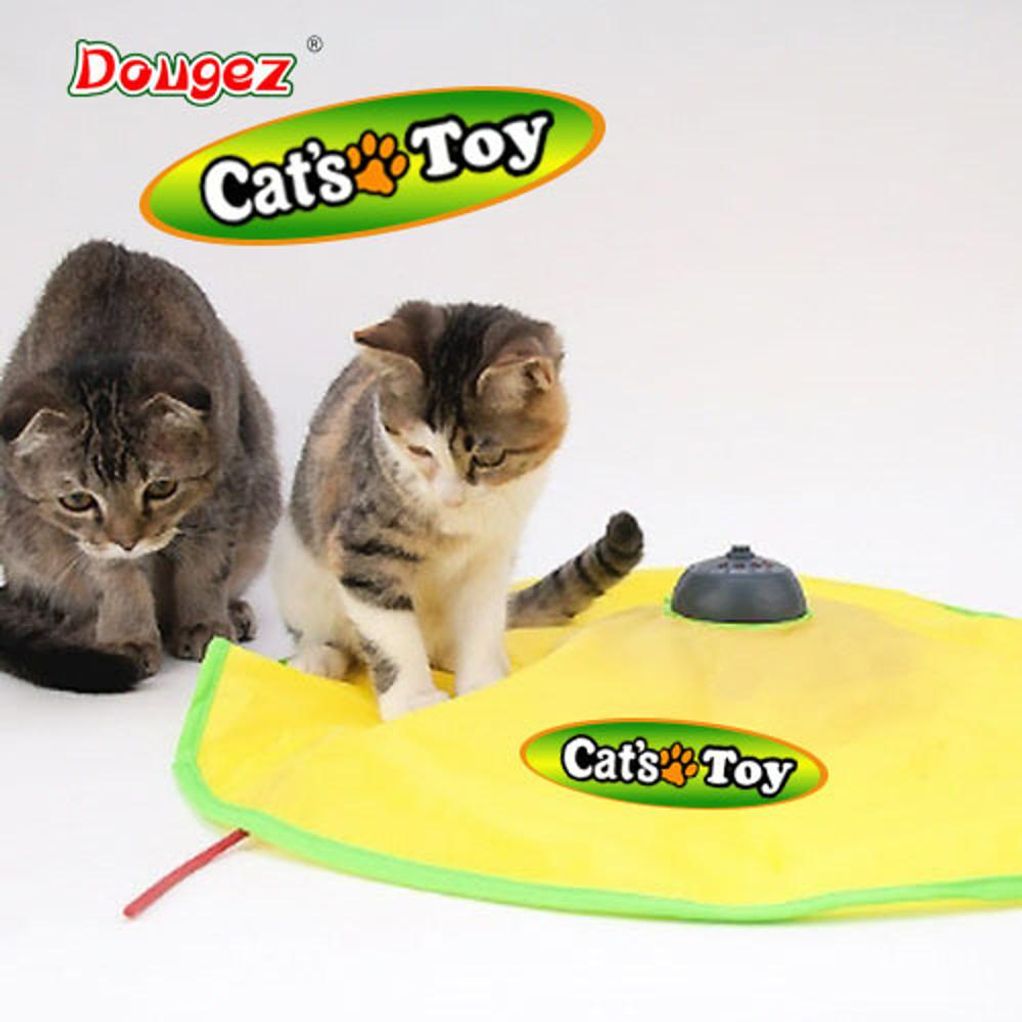 캣츠토이 무빙마우스