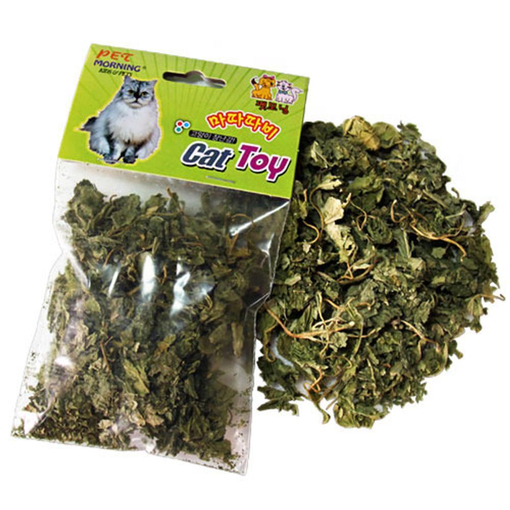 펫모닝 마따따비잎과 열매