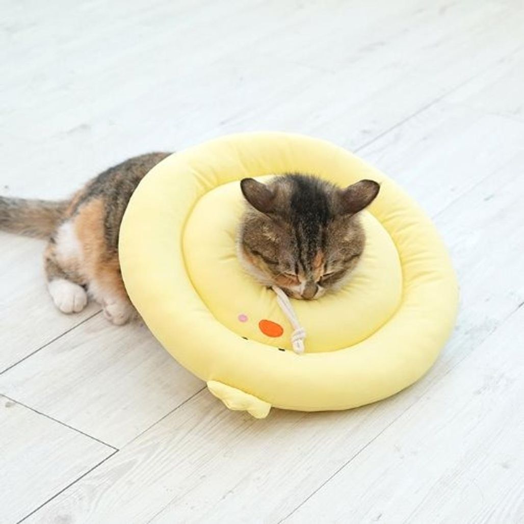 패리스독 뉴베프카라(병아리-옐로우/XL)