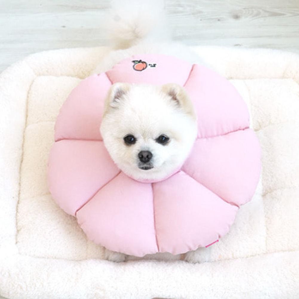 패리스독 꿀잠카라 핑크M