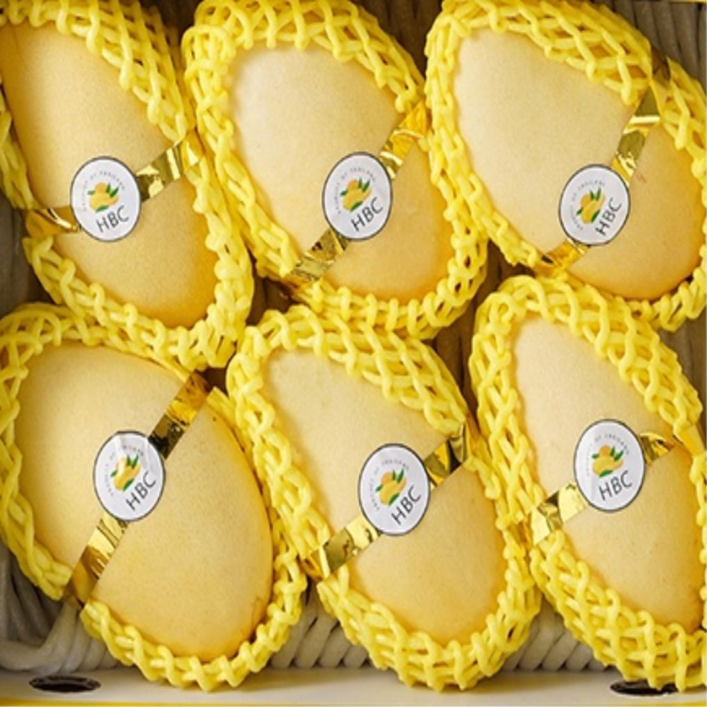 태국망고 골드망고 선물세트 6과