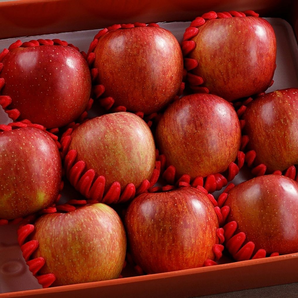 사과 선물세트 대과 10과