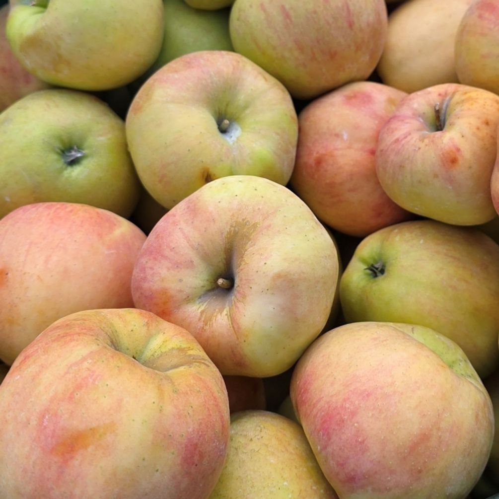 주스용 사과 3kg