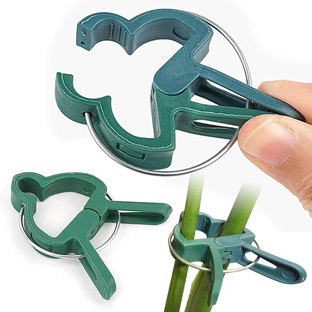 식물 고정 집게 20p 줄기 덩굴 원예 화분 수형 고추