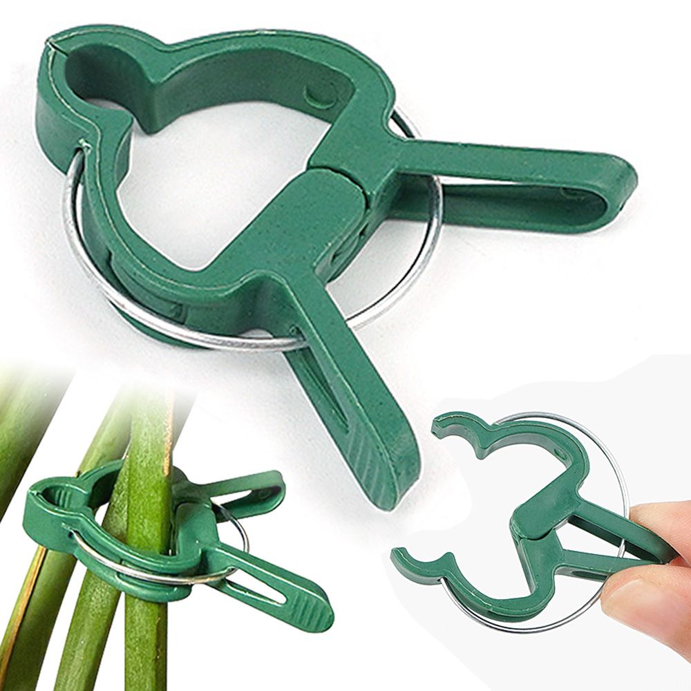 식물 고정 집게 20p 소 줄기 덩굴 원예 화분 고추