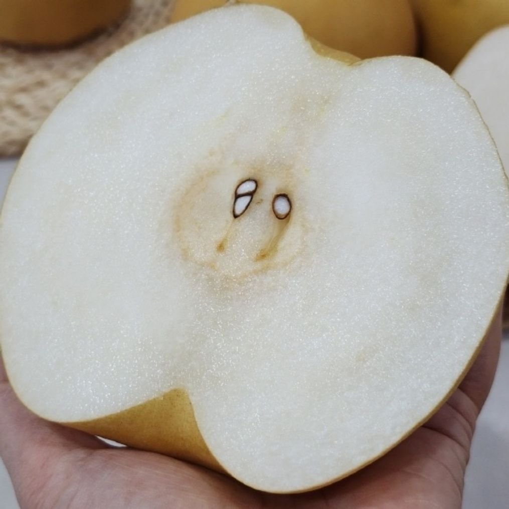 배 선물세트 7.5kg