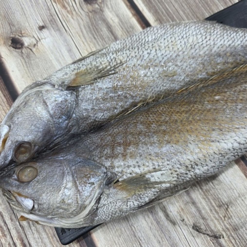 국내산 반건조 민어 특대 2미
