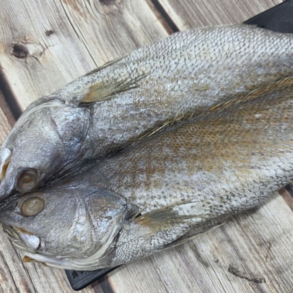 국내산 반건조 민어 특대 4미