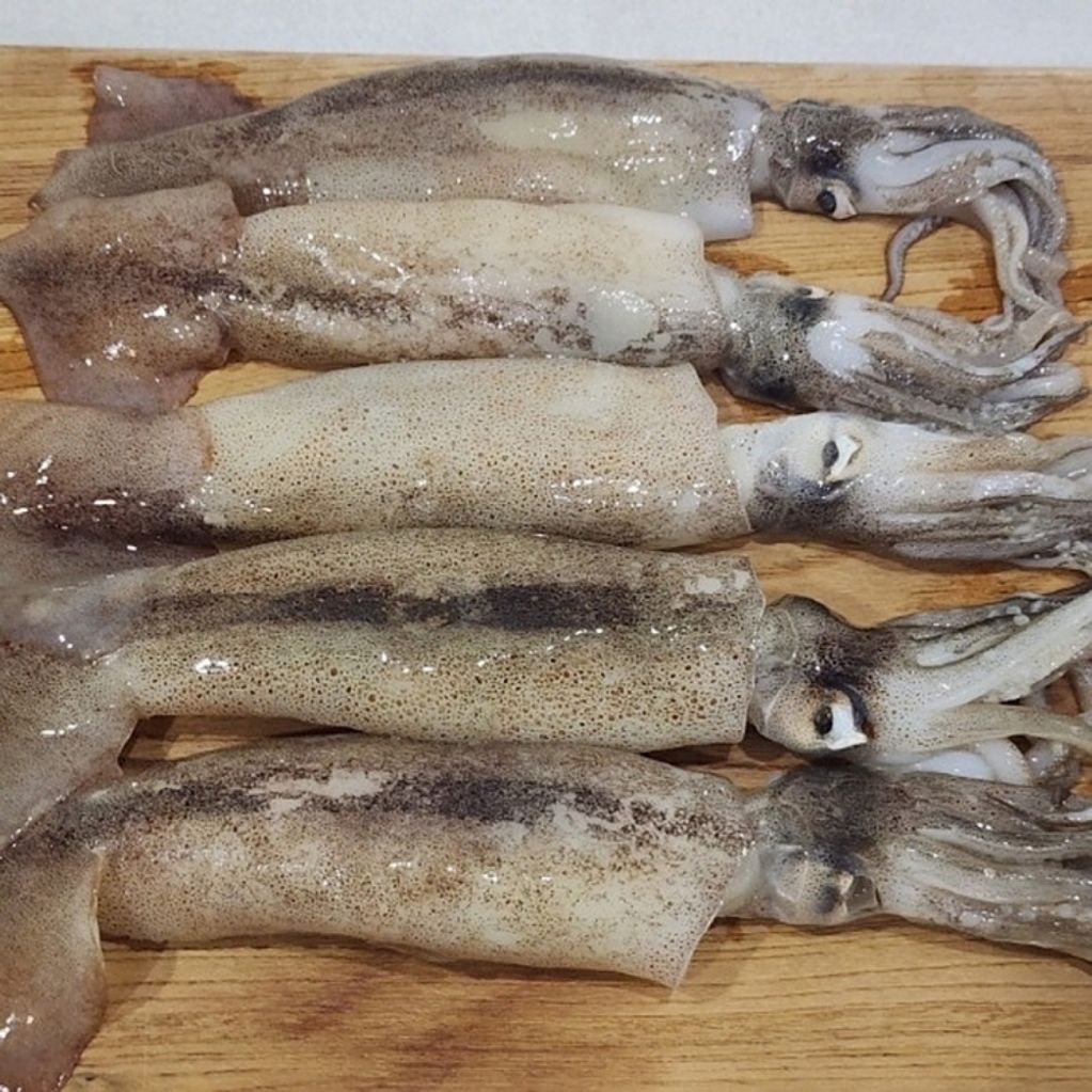 국내산 냉동 오징어 3미