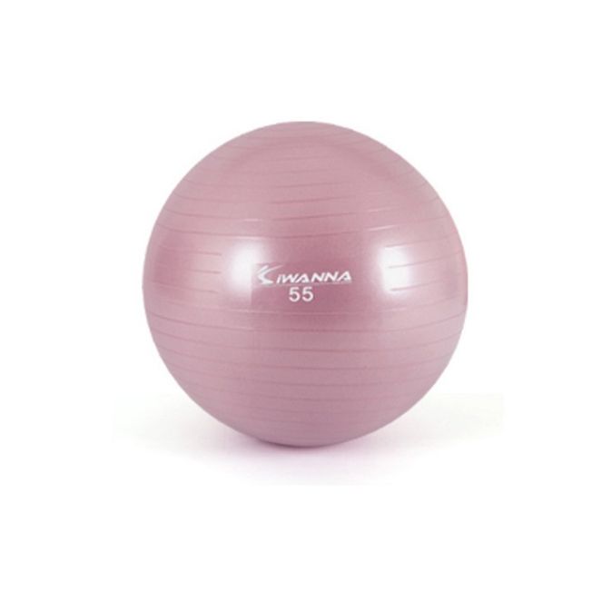 홈트 PVC 짐볼-55cm (와일드핑크) 운동 스트레칭