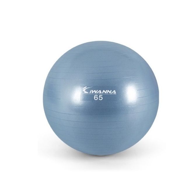 홈트 PVC 짐볼-65cm (라벤더블루) 운동 스트레칭