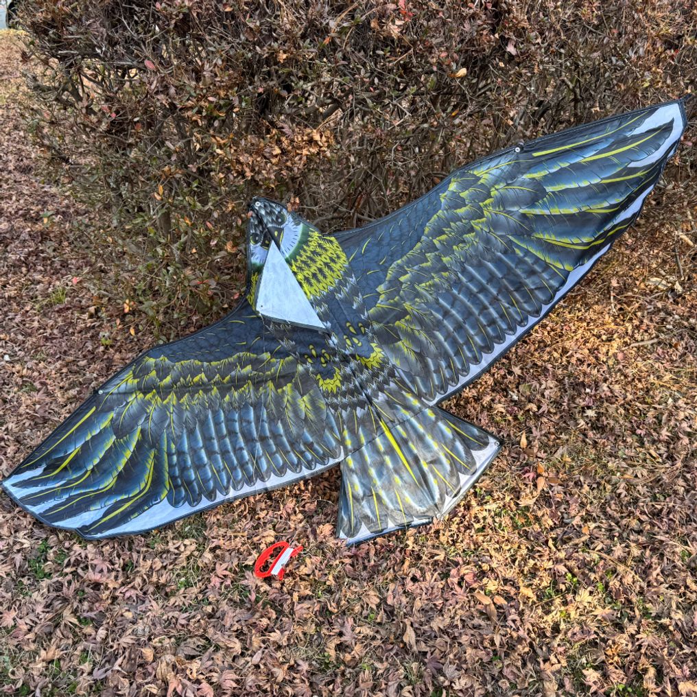 연날리기 새쫓는 독수리연 150cm