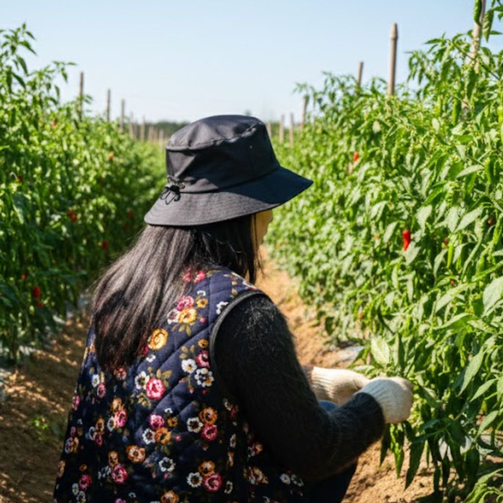 접이식 포켓 서핑햇 부니햇 모자 블랙