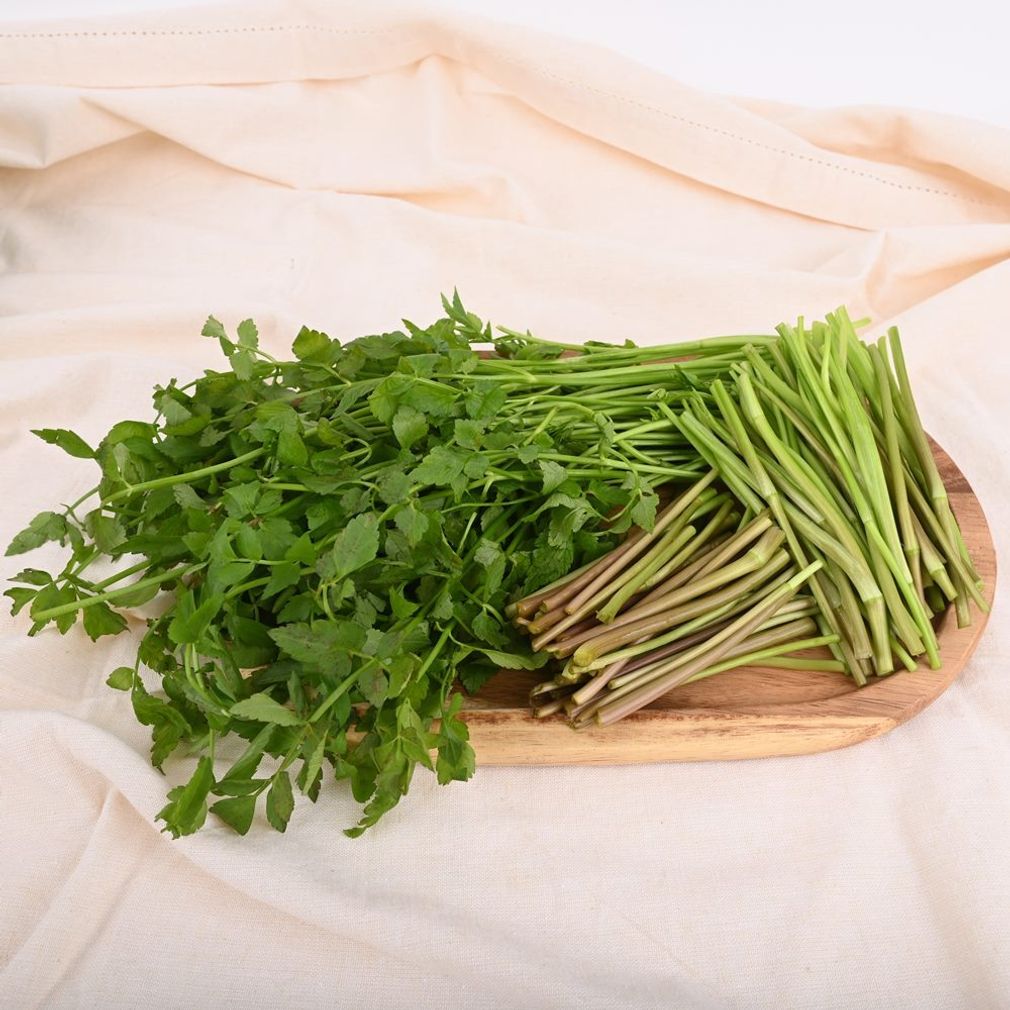 입안 가득 퍼지는 향긋한 풍미 청도 미나리 400g