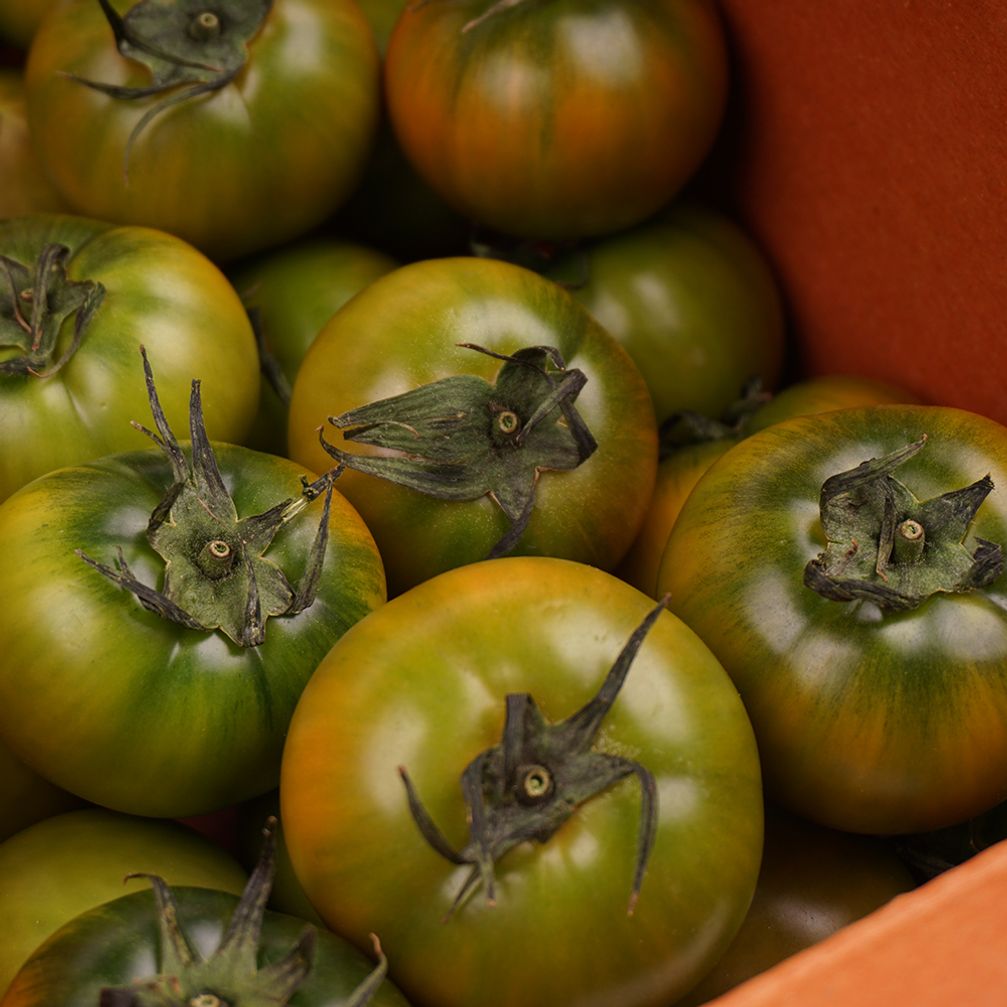 단짠단짠 씹는 식감이 좋은 대저토마토 1kg 혼합/일반