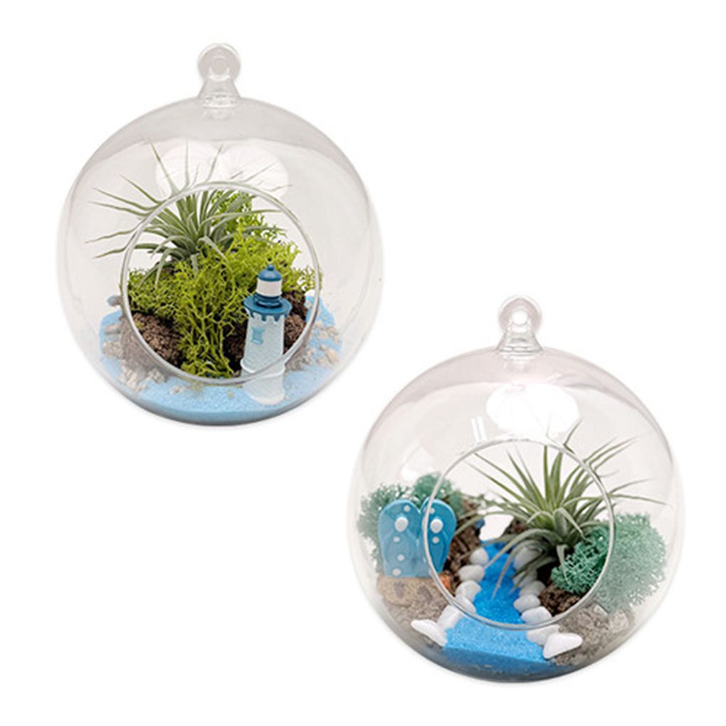 (TD) 여름 풍경 테라리움 만들기