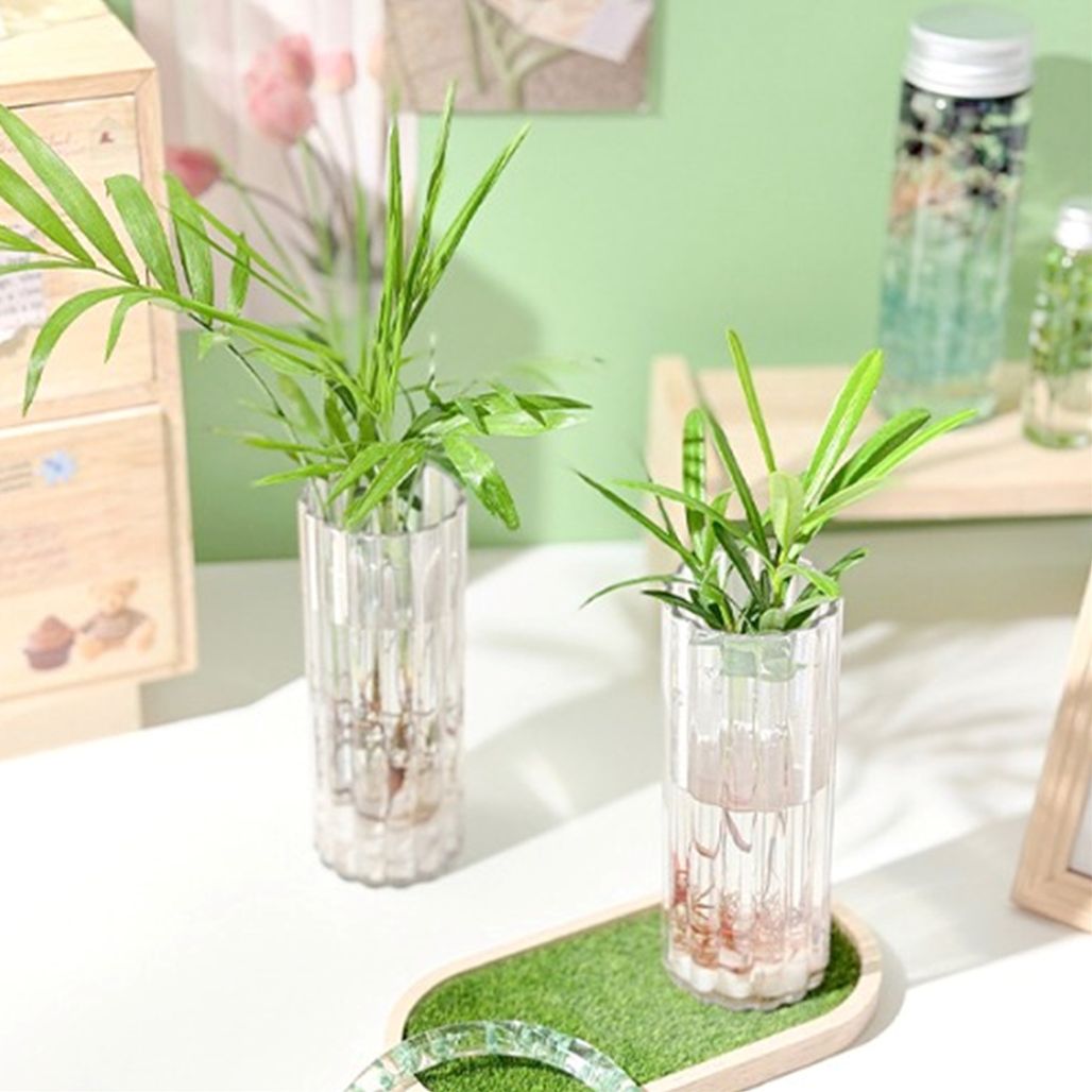 (TD) 투명 화병 수경식물 세트 - 1인세트