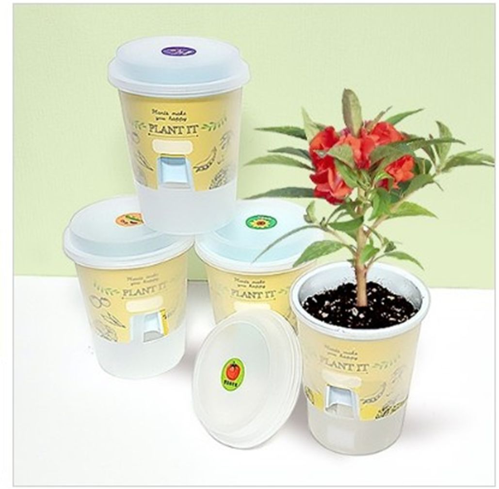 (DD) 저면관수 올인원 화분 키트