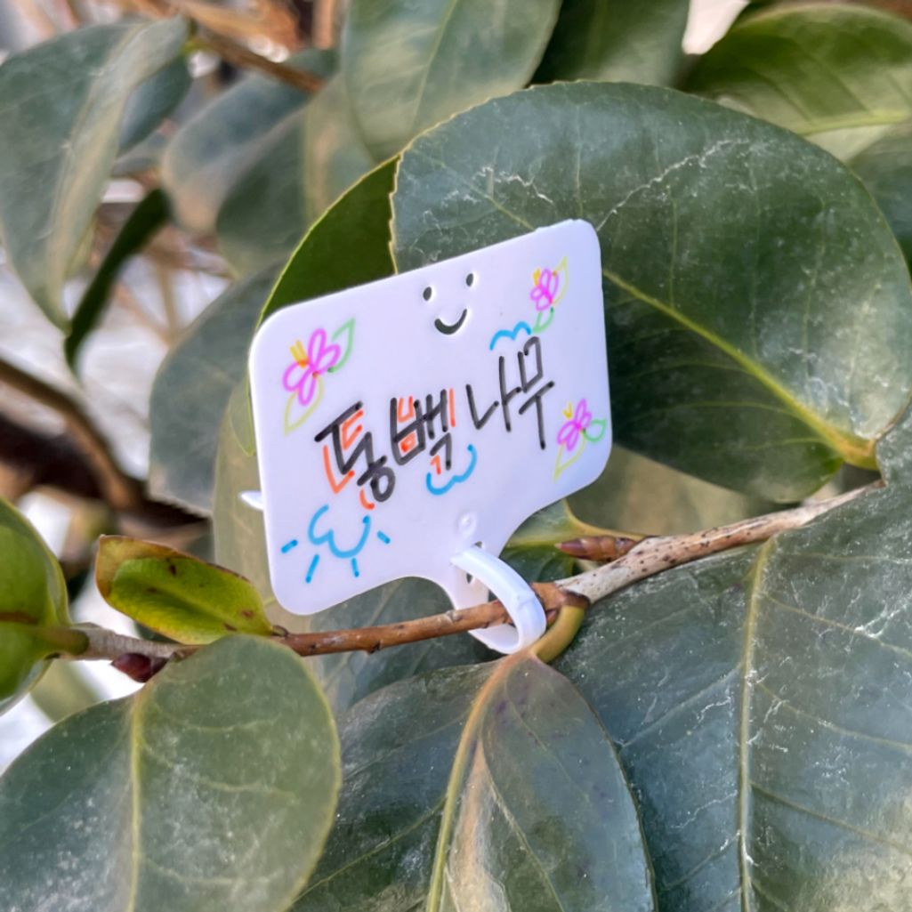 타이형 화분픽 식물이름표 화이트 10개입