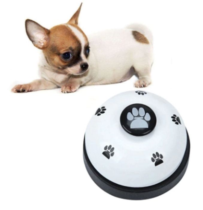 애견벨 강아지 두뇌개발 간식벨 행동 훈련용