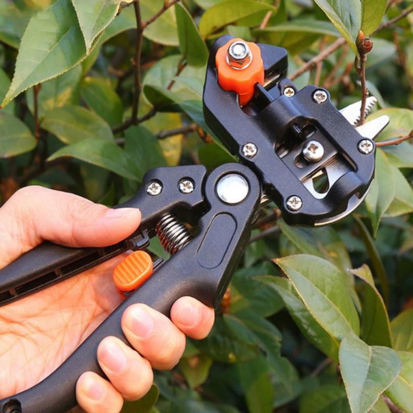 접목가위 전지 과수용 원예 접붙이기 조경 가지치기